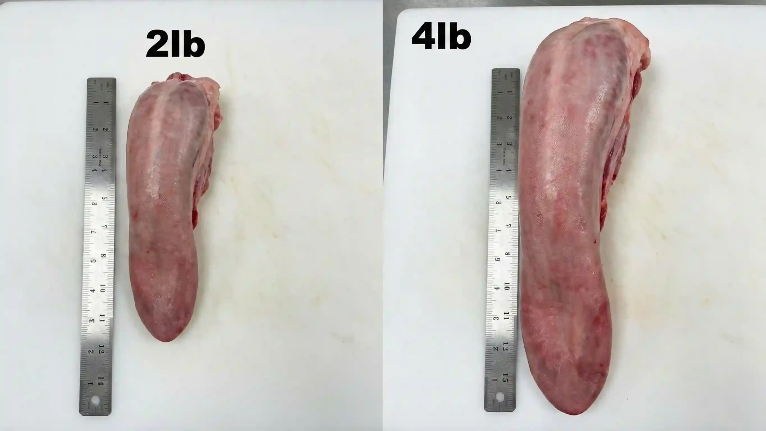 Side-by-side size comparison of a small 2lb raw beef tongue versus a large 4lb tongue on a cutting board to show scale